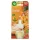 Air Wick elektromos illatosító utántöltő 19ml Pumpkin & Winter Spice